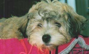 "Disneyland's Famous Favorit"