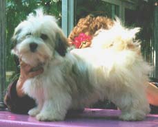 "Disneyland's First Class Lady"