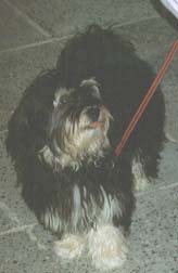 "Disneyland's Future Girl"