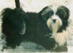 "Disneyland's Show - Girl"