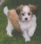 "Disneyland's Quick Girl"