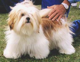 "Disneyland's Quick Girl"