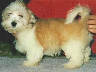 "Disneyland's Royal par exellence"