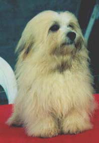 "Disneyland's Royal par exellence"