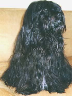 "Disneyland's Sadie Sweet as Sugar"