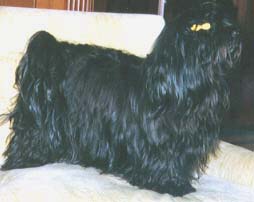 "Disneyland's Sadie Sweet as Sugar"