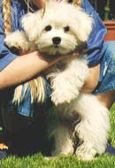 "Disneyland's Sweet White Girl"